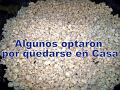 Migas en la Plaza 2009 06