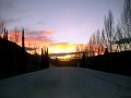 varias (6)
