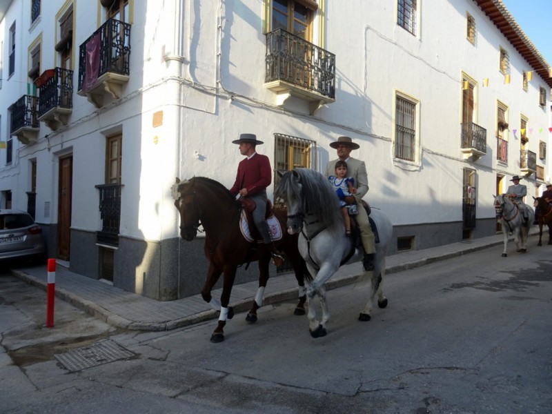 Carrozas 2018 - Galera -004.jpg