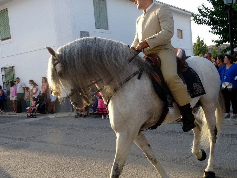 Carrozas 2018 - Galera -014.jpg
