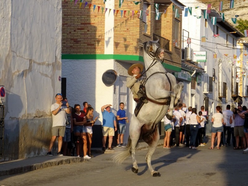 Carrozas 2018 - Galera -019.jpg