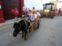 Carrozas 2018 - Galera -033.jpg