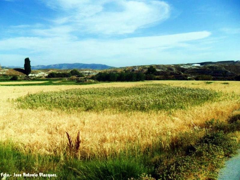 Ruta Riego-Nuevo - 11.jpg