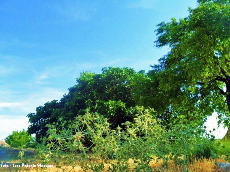 Ruta Riego-Nuevo - 28.jpg