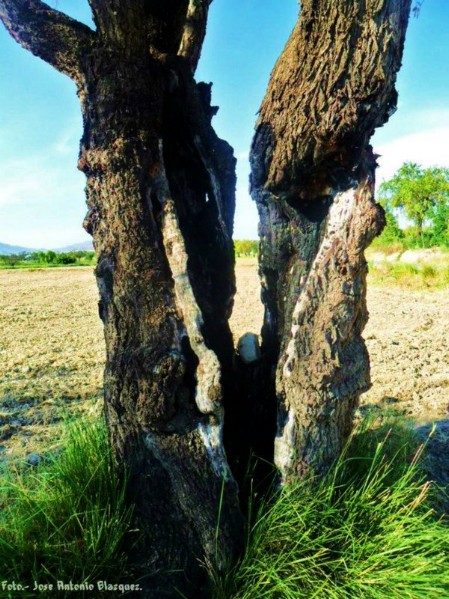 Ruta Riego-Nuevo - 30.jpg