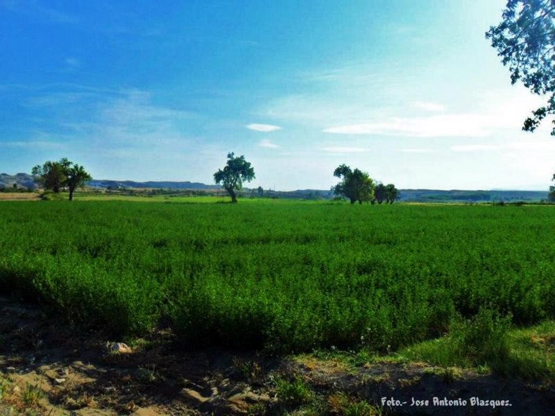 Ruta Riego-Nuevo - 31.jpg