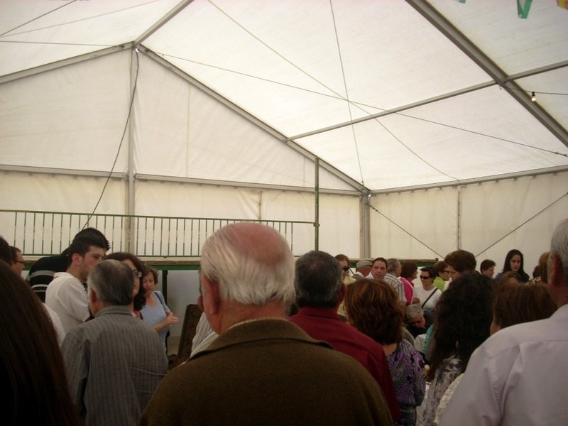 p_0026.jpg