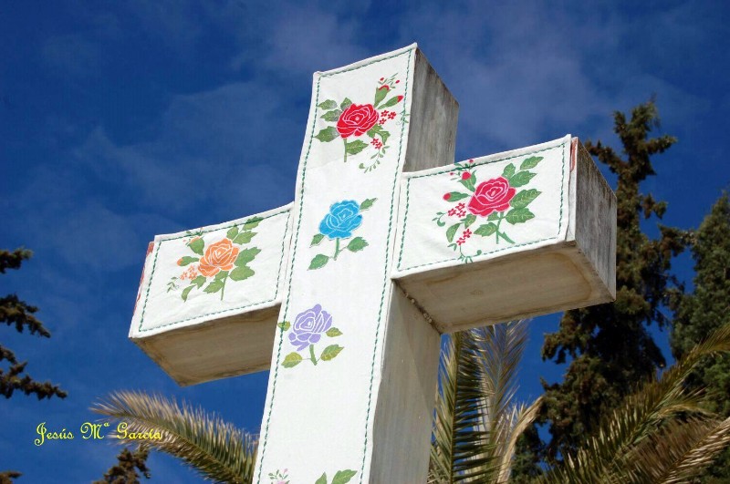 Cruces de Mayo 2018-012.jpg