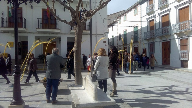 Domingo de Ramos-008.jpg