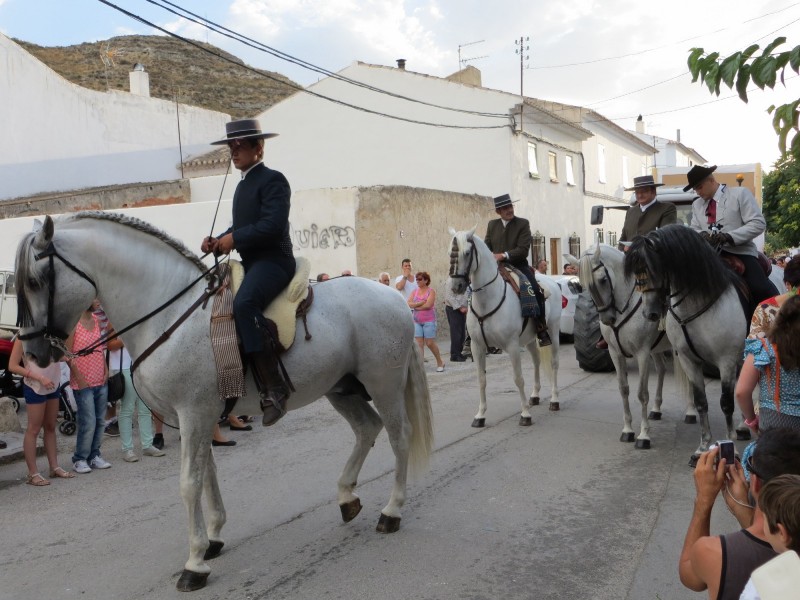 Carrozas 2013-003.JPG