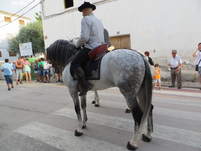 Carrozas 2013-005.JPG
