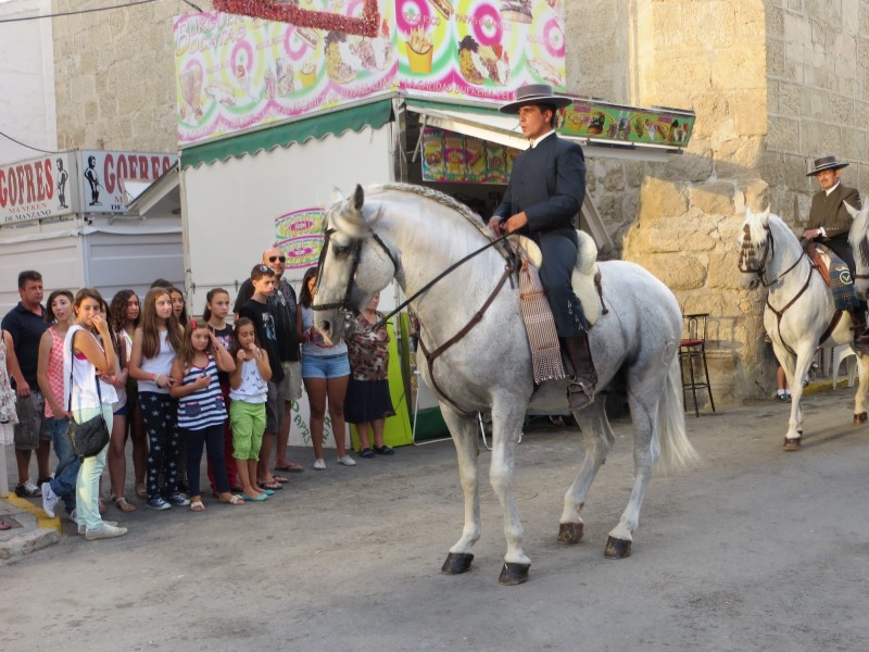 Carrozas 2013-030.JPG