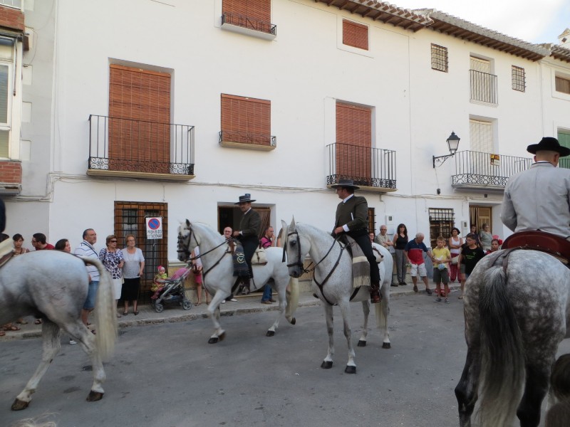 Carrozas 2013-049.JPG
