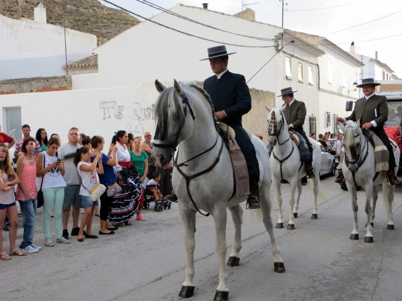 Carrozas 2013-060.JPG