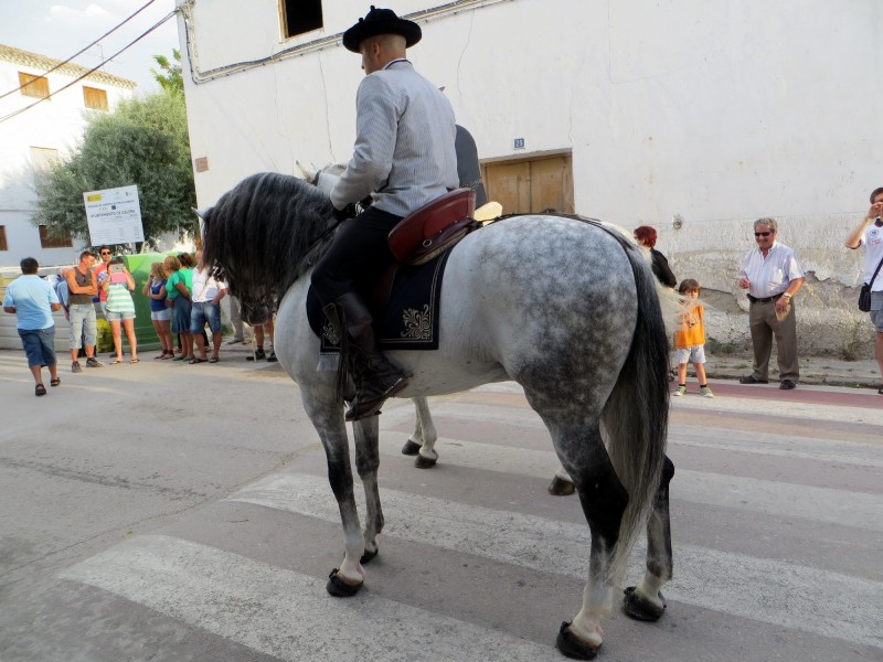 Carrozas 2013-063.JPG