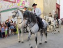 Carrozas 2013-029.JPG