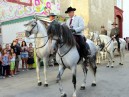 Carrozas 2013-087.JPG