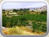 Castellon_Lan-23