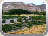 Castellon_Lan-24