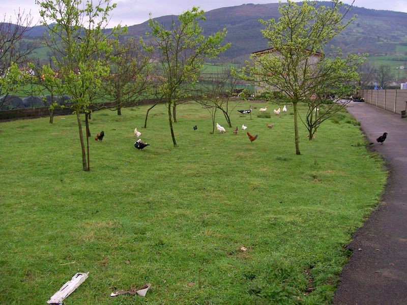 100_1365.jpg