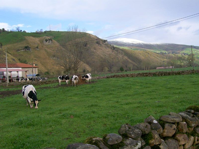 100_1675.jpg