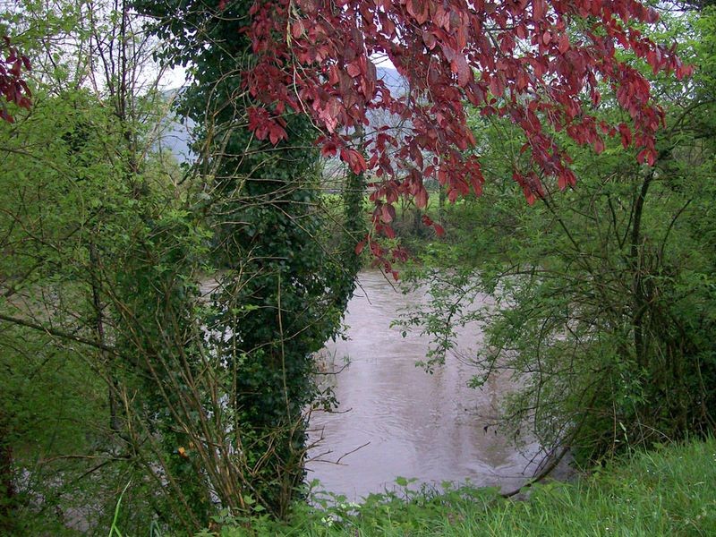 100_1342.jpg