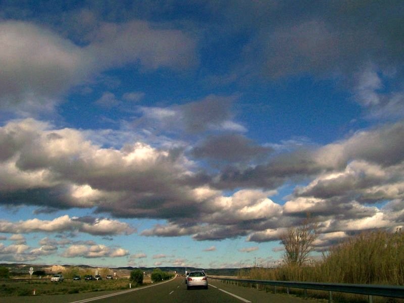 100_1916.jpg