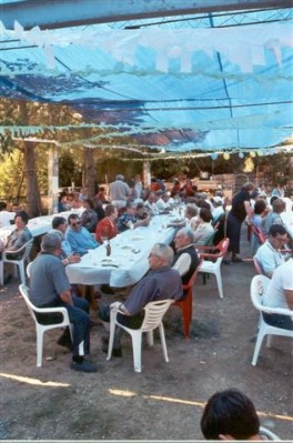 mallorca__VARIOS-10.jpg
