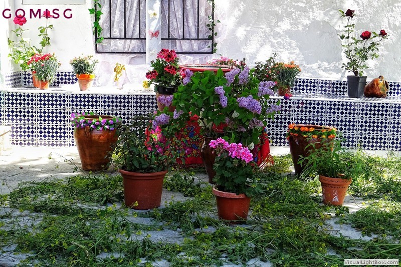 cruces_de_mayo_2019_-10.jpg
