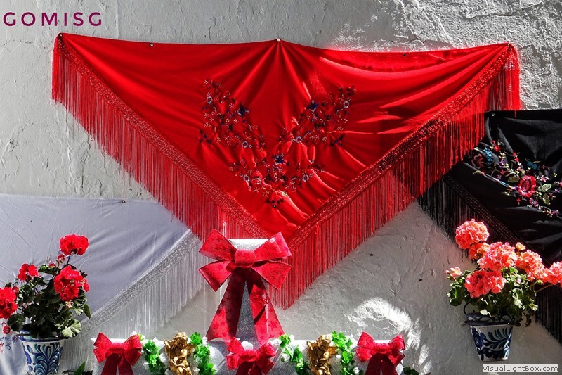 cruces_de_mayo_2019_-12.jpg