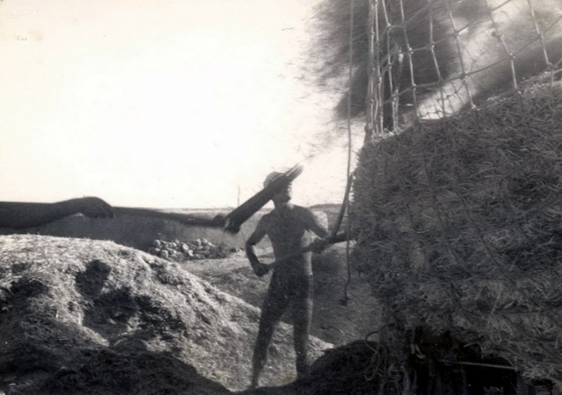 Almacenando paja, en los anos 70.jpg