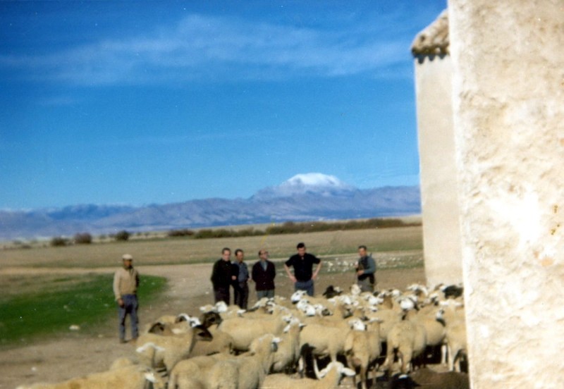 Dia de esquila en el cortijo del Siervo. Anos 60.jpg