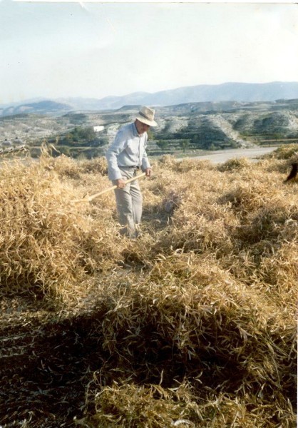 Extendiendo las caricas. Anos 70.jpg